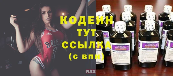 шишки Горняк