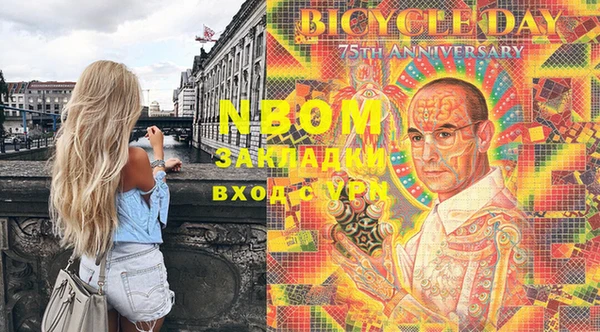шишки Горняк