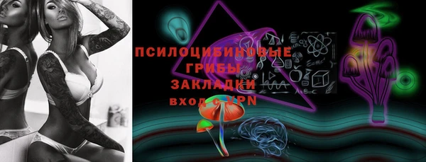 стаф Вязьма