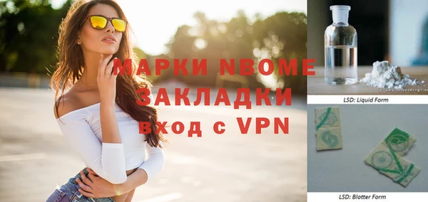 шишки Горняк