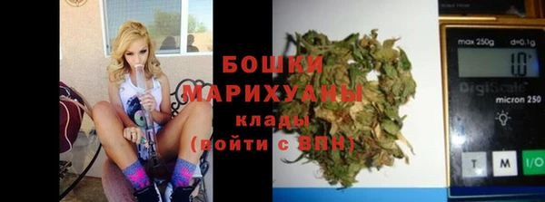 гидра Горно-Алтайск