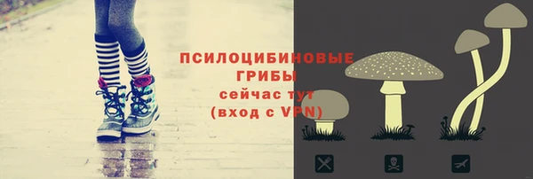 стаф Вязьма