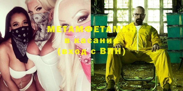 шишки Горняк
