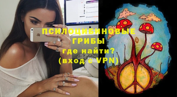 гидра Горно-Алтайск