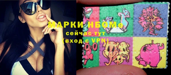 стаф Вязьма