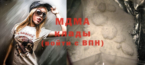 шишки Горняк
