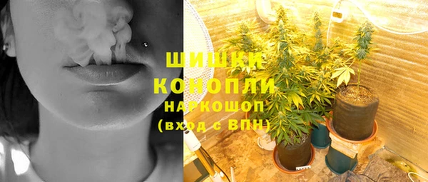 гидра Горно-Алтайск