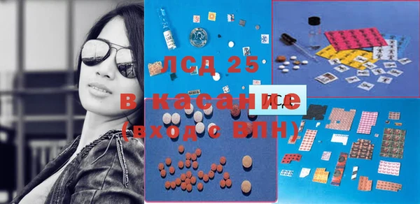 стаф Вязьма