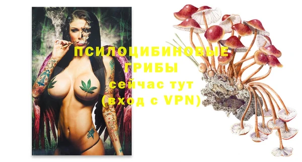 дурь Горнозаводск