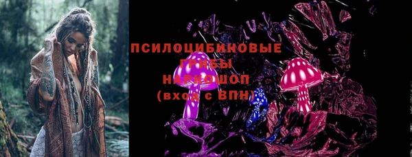 стаф Вязьма