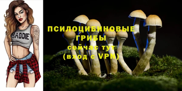 гидра Горно-Алтайск