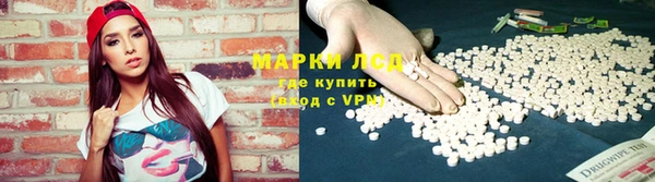 шишки Горняк