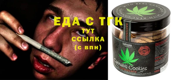 стаф Вязьма