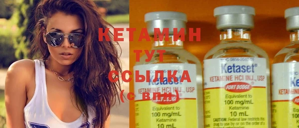 шишки Горняк