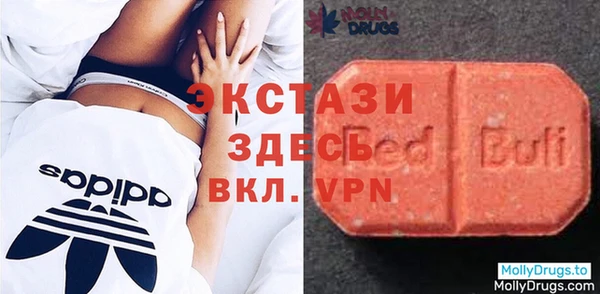 шишки Горняк