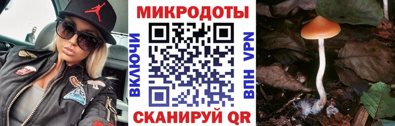 Псилоцибиновые грибы MAGIC MUSHROOMS  гидра онион  Гусиноозёрск 